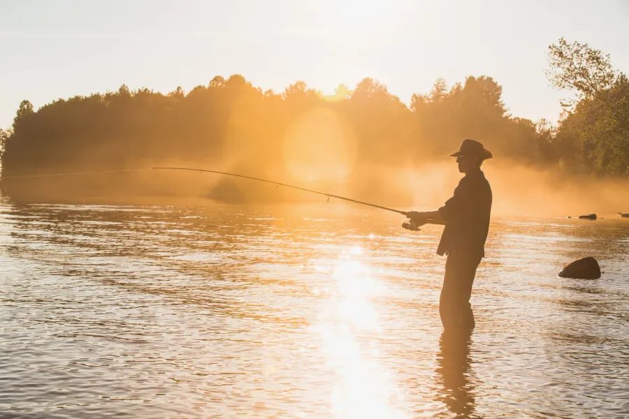 A fly fisherman standing in a river at sunrise